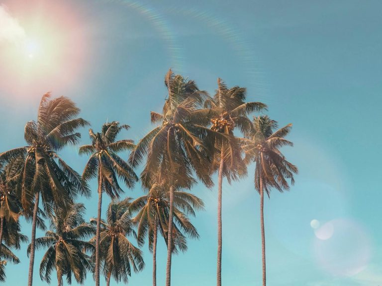 Où aller pour les vacances d&rsquo;été?