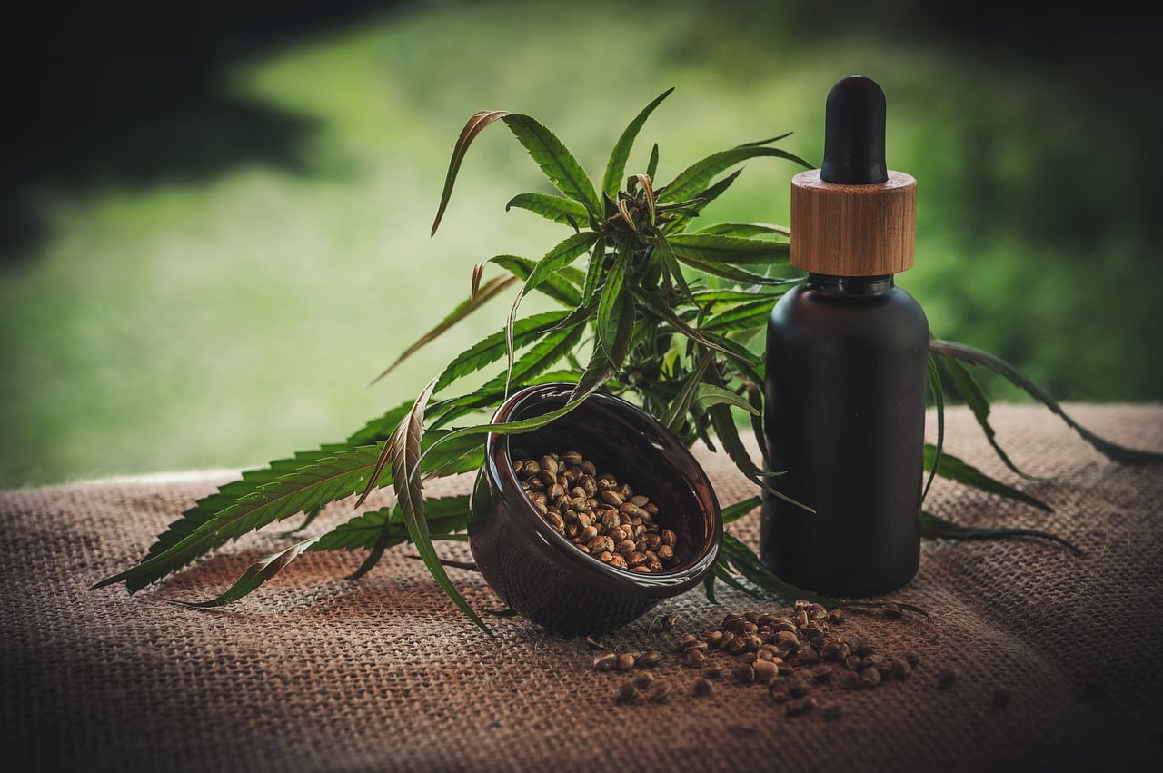 Graines de cannabis : effet, application et avantages