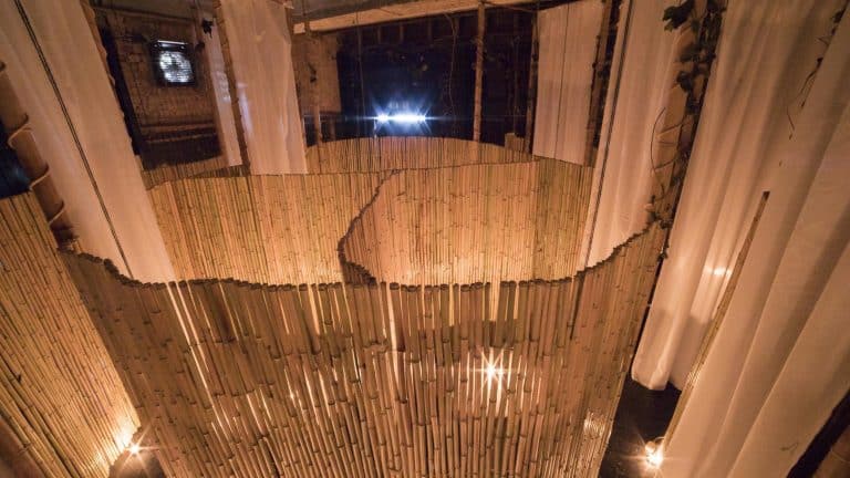 Bunyadi, un restaurant nudiste à Paris