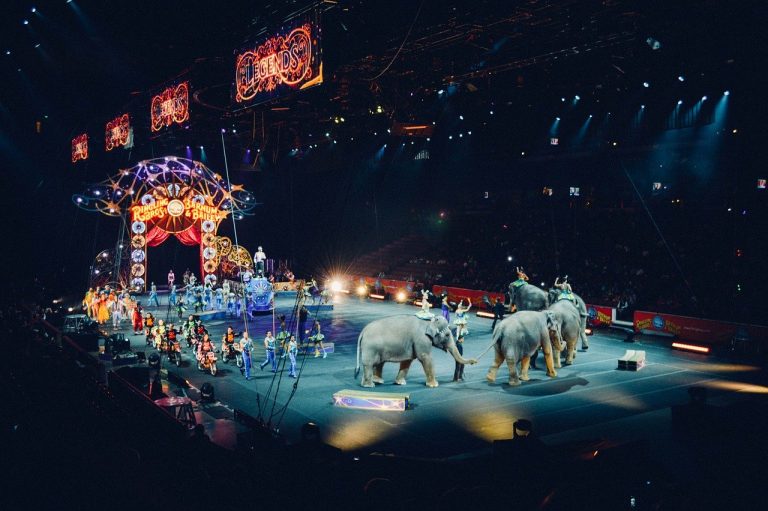 Les cirques sont interdits à Paris après le décès de l’ours Mischa