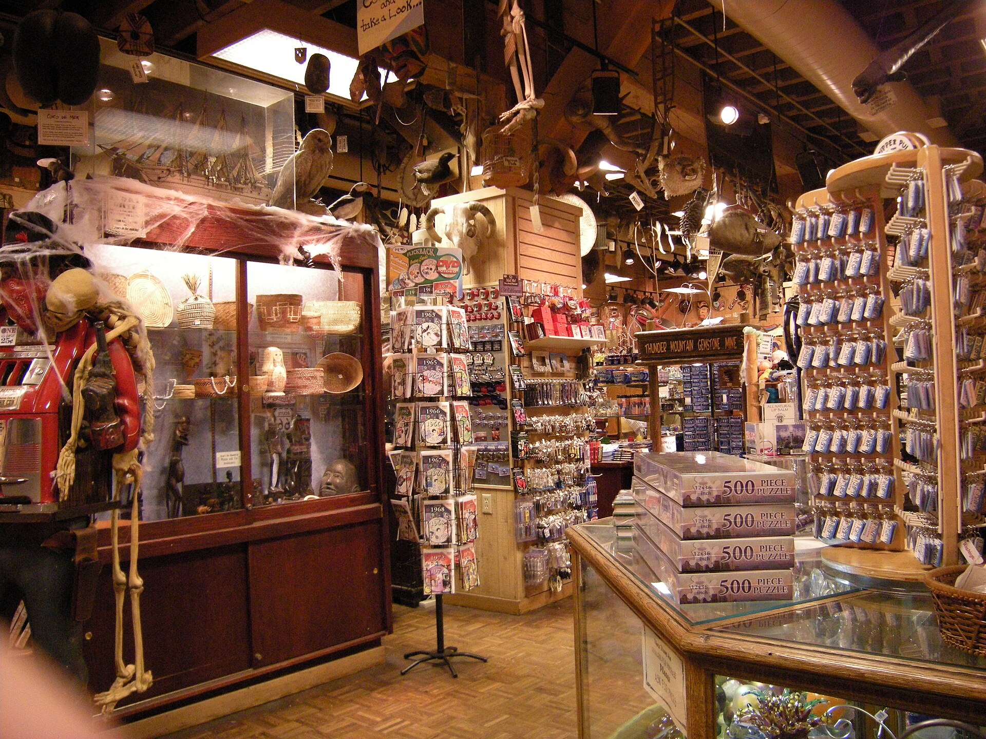 Intérieur d’une boutique de curiosités avec vitrines anciennes, squelette suspendu et présentoirs chargés d’objets