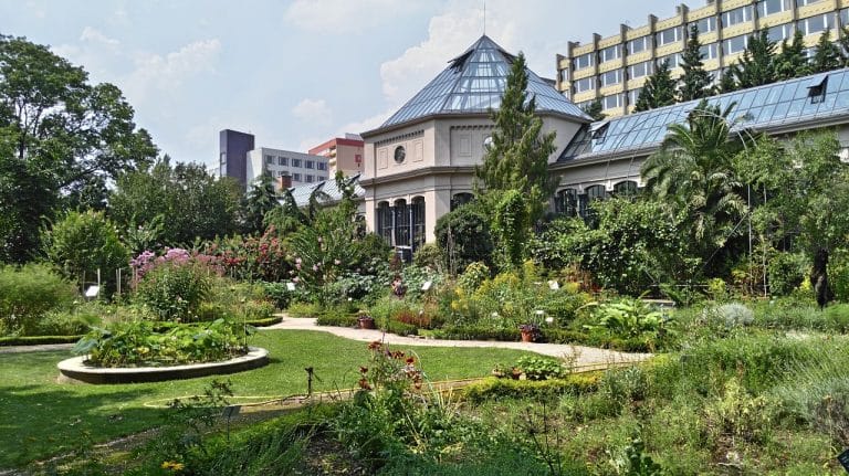 Visite du Jardin alpin au Jardin des Plantes en été à Paris