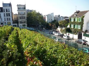 Fête des Vendanges de Montmartre 2026 : le guide des accès
