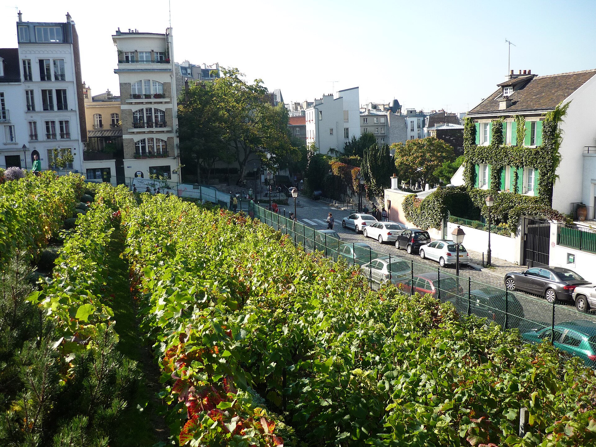 Fête des Vendanges de Montmartre 2026 : le guide des accès