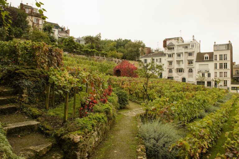Fête des Vendanges de Montmartre 2026 : le guide des accès